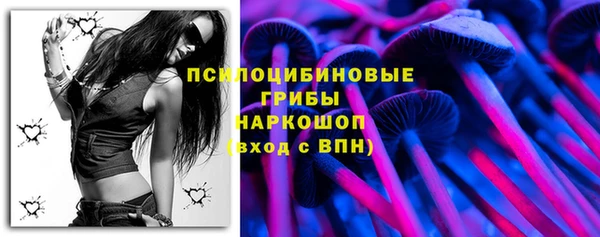 гидра Бугульма