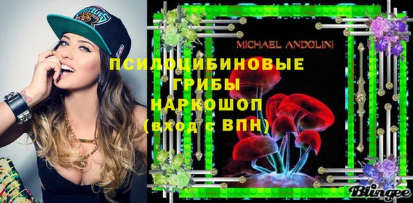 гашик Богданович