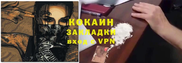 соль ск Богородицк