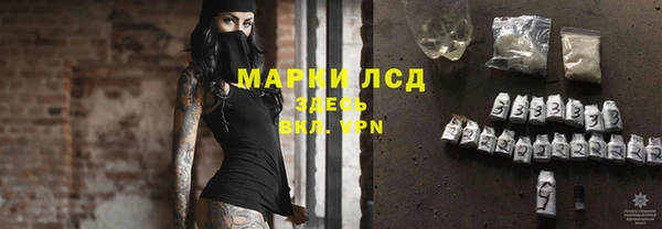 гашик Богданович