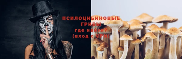 эйфоретик Бронницы