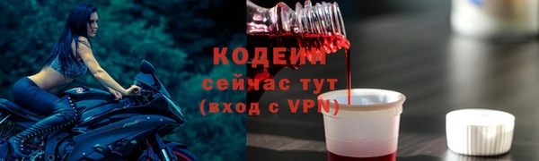гашик Богданович