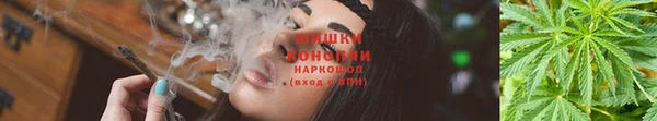 каннабис Бородино