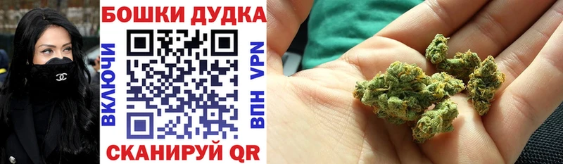где купить наркоту  Гаврилов-Ям  МАРИХУАНА план 